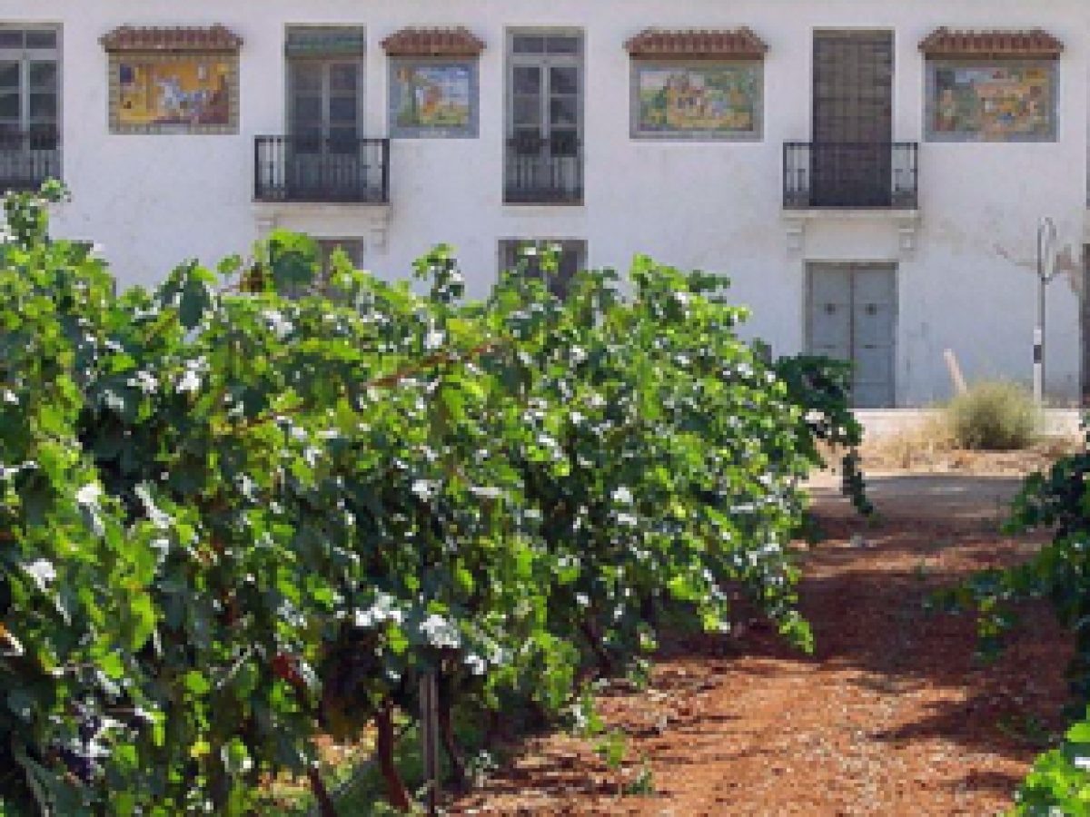 El-Toboso-Turismo-