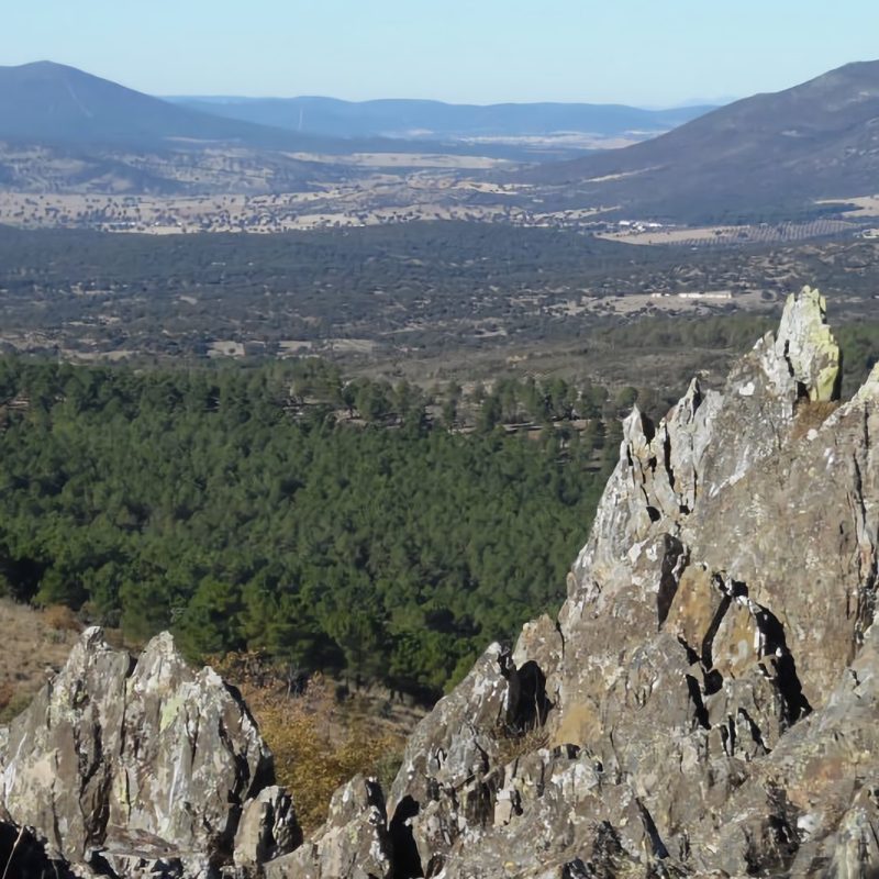 paisaje